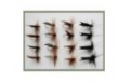 16 Sedge Flies Silver Deer Olive and Brown
