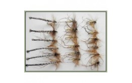 18 Daddy Long Legs Detached and Standard