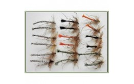 18 Daddy Long Legs Detached Bodies