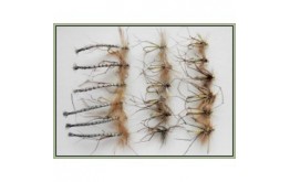 18 Daddy Long Legs Detached Goldhead and Natural