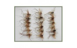 18 Daddy Long Legs Normal & Goldhead