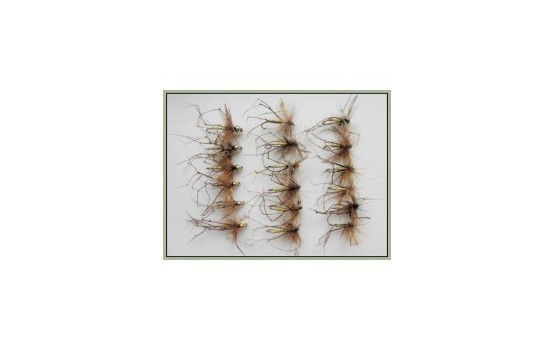 18 Daddy Long Legs Normal & Goldhead