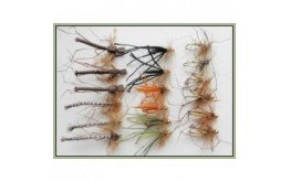 18 Daddys   Mixed Pack