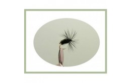 Black and Peacock Dry Fly