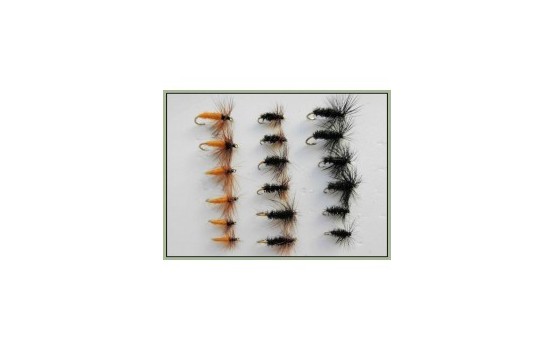 18 Drys Carrot Black & Peacock Cochybondhu