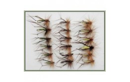 18 Hoppers   Olive Yellow and Claret