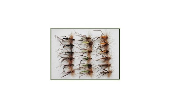 18 Hoppers Mixed Colours