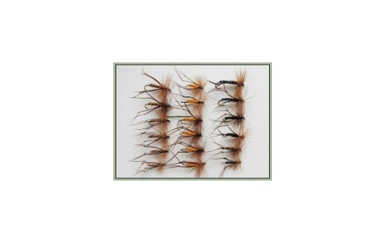 18 Hoppers  Black Brown & Orange