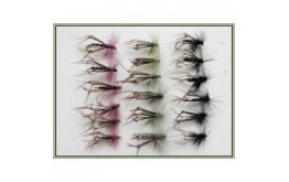 18 Hoppers  Coloured Hackles