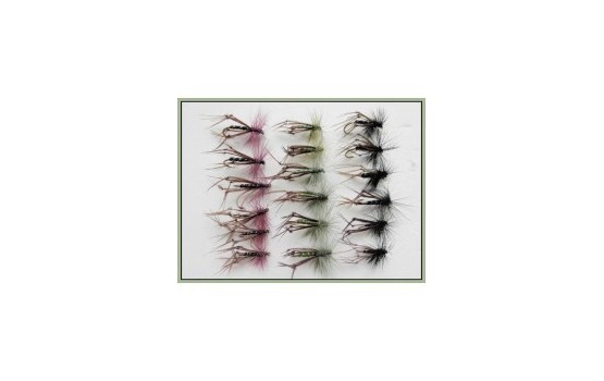 18 Hoppers  Coloured Hackles