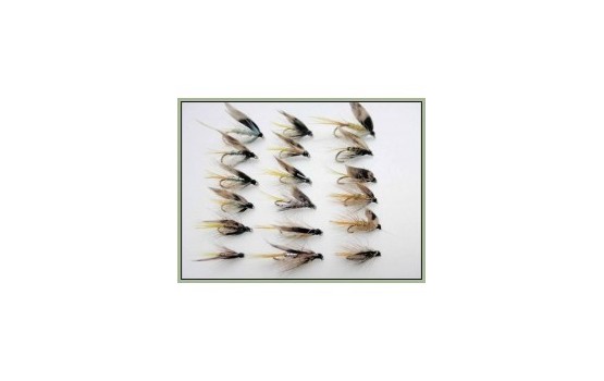 18 Invictas Silver Pearly and Normal