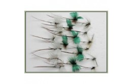 18 Mayflies Drakes and Spent Mayfly