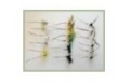 18 Mayflies inc French Partridge and Parachute
