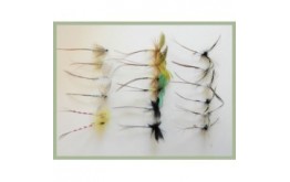 18 Mayflies inc French Partridge and Parachute