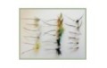 18 Mayflies inc French Partridge Parachute and Nymph
