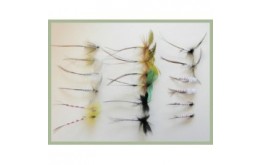 18 Mayflies inc French Partridge Parachute and Nymph