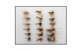 18 Sedge Dry 6 Varieties