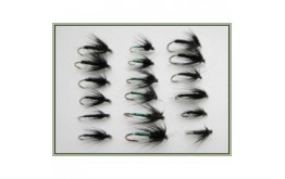 18 Wet Flies  Spider Variant and Lurex