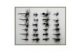 24 Black Dries Spider Gnats Midge Ants