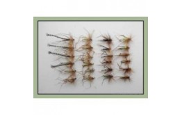 24 Mixed Daddys and Hoppers