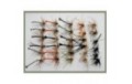 30 Daddy Long Legs Flies   Mixed Type