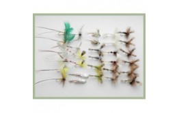 30 Mixed Mayflies Plenty of variety