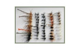 50 Dry Flies