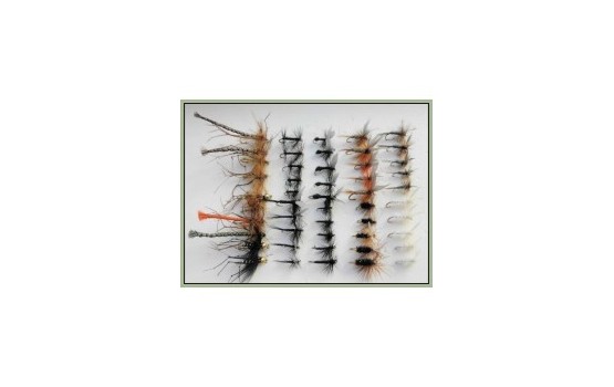 50 Dry Flies