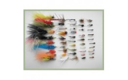 50 Random Fishing Flies