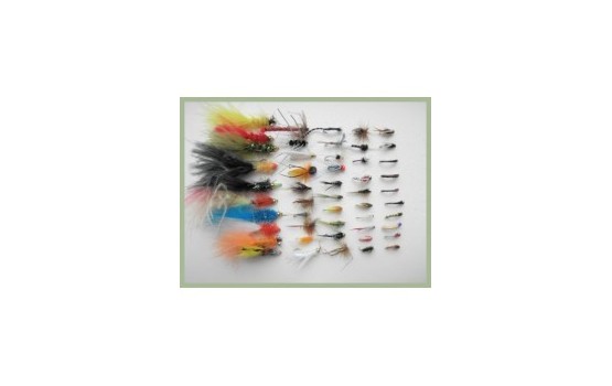 50 Random Fishing Flies