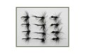 12 Dry Flies   Black Ant Black Gnat & Spider