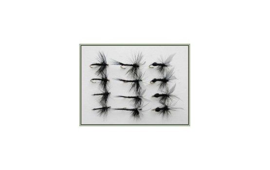 12 Dry Flies   Black Ant Black Gnat & Spider