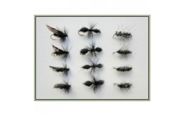 12 Dry Flies Griffiths Gnat Alder & Traditional Ant