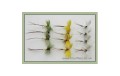 12 Drake Mayflies Yellow Green Grey