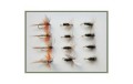 12 Dry Flies   Coachman Hares Ear & Coch Y Bondhu