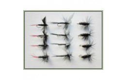 12 Dry Flies  Black Gnat Black & Peacock & Red Tailed Gnat