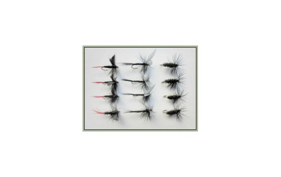 12 Dry Flies  Black Gnat Black & Peacock & Red Tailed Gnat