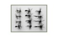 12 Drys Spider Midge Gnat & Ant