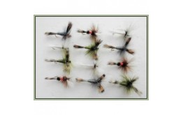 12 Wulff Royal Olive Grey and White