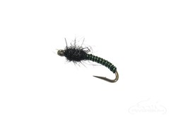 Brassie, BiColor Green Black