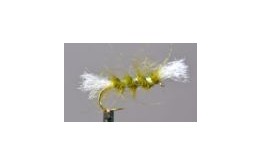 Shipmans Buzzer Olive