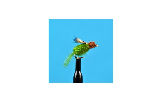 Sparkle Caddis Pupa Olive