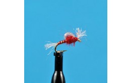Suspended Midge Pupa Red