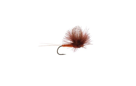 CDC Parachute Brown Drake