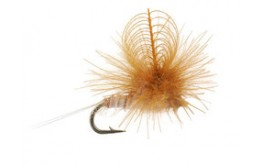 CDC Parachute Pink Cahill