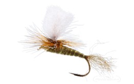 Green Drake Parachute