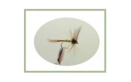 Greenwell Glory Winged Dry