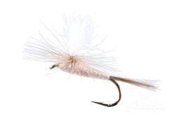 Hendrickson Parachute