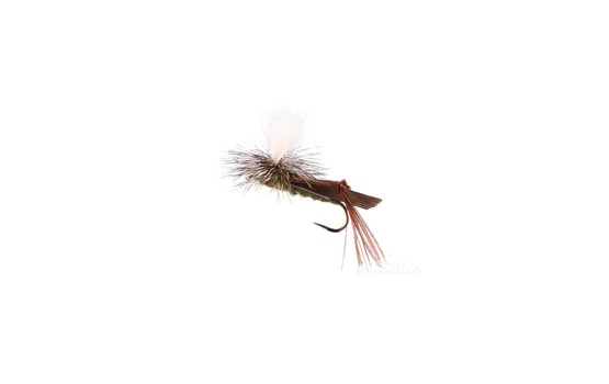 Hopper Parachute Olive