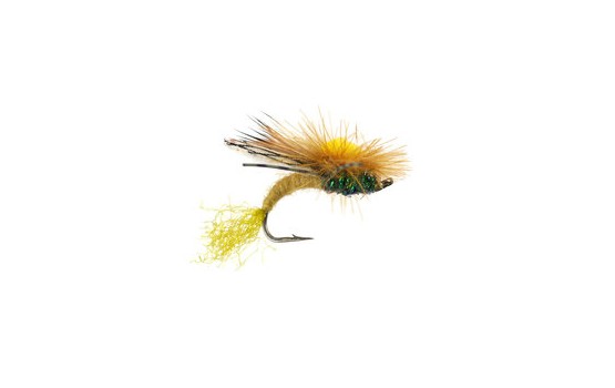 Kyles HFH Caddis Olive